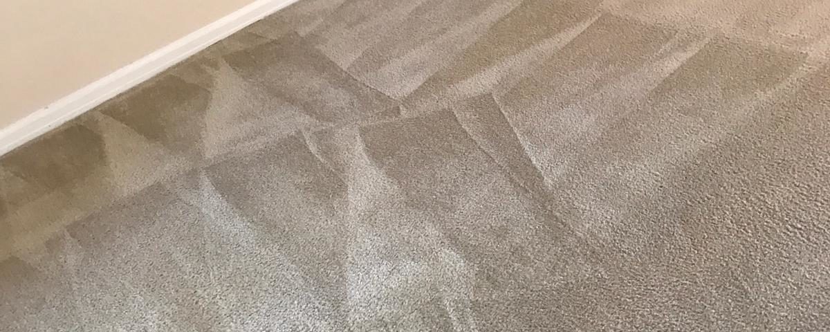 professional carpet cleaning service